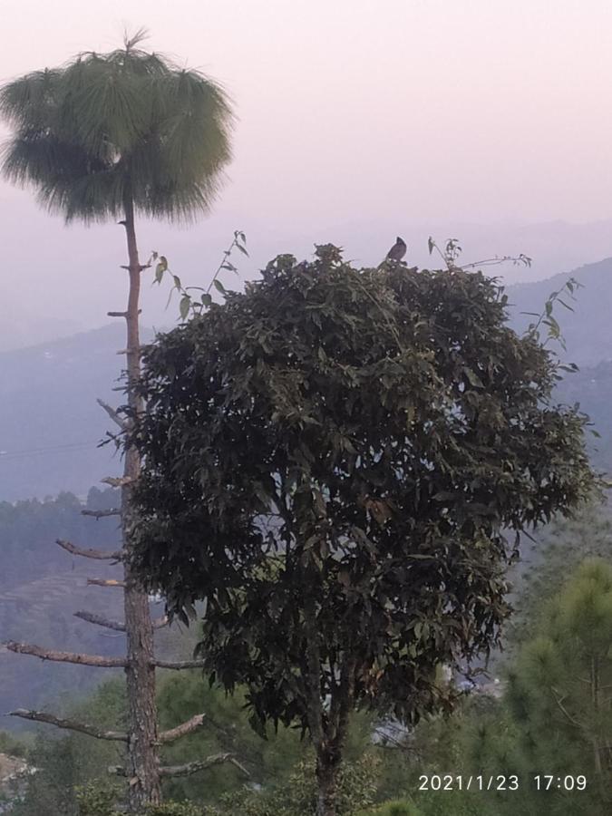 Mangalmurti Himalyan Homestay Hawalbagh المظهر الخارجي الصورة